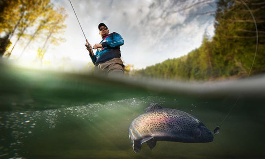 What Fish Can You Catch While Fly Fishing