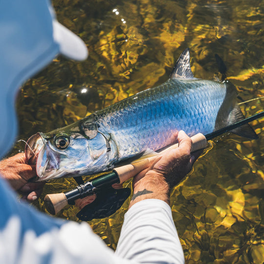 G. Loomis Asquith Saltwater Fly Rod Image 03