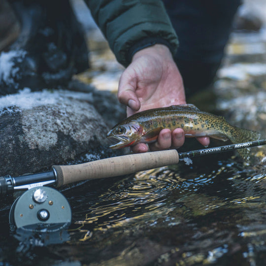 G. Loomis IMX-Pro Creek Fly Rod Image 02