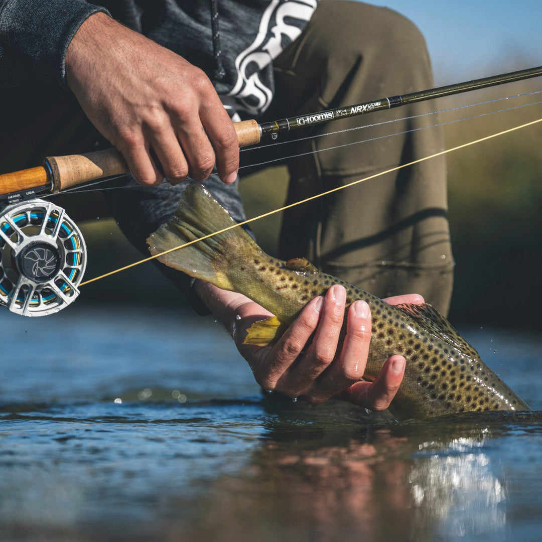 G. Loomis NRX+ LP Lite Presentation Fly Rod Image 03