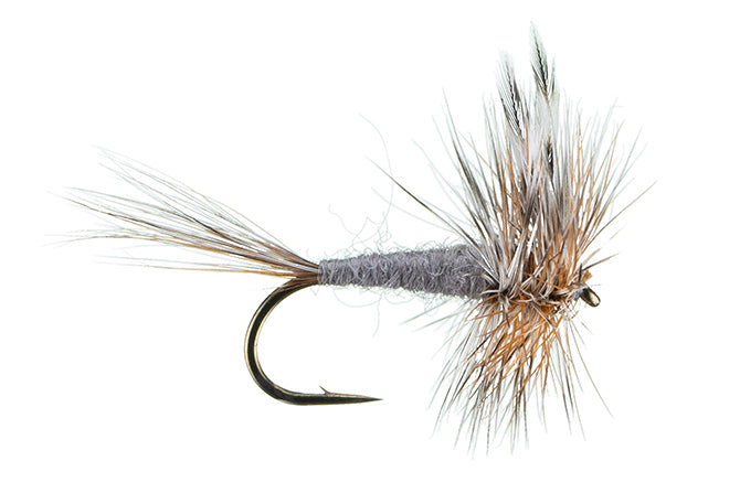 Montana Fly Company Adam's