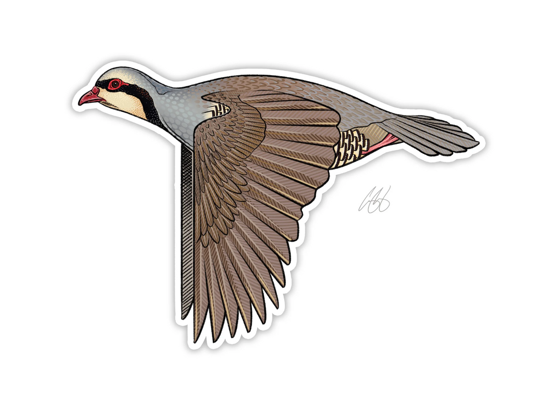 Casey Underwood Chukar Decal Sticker