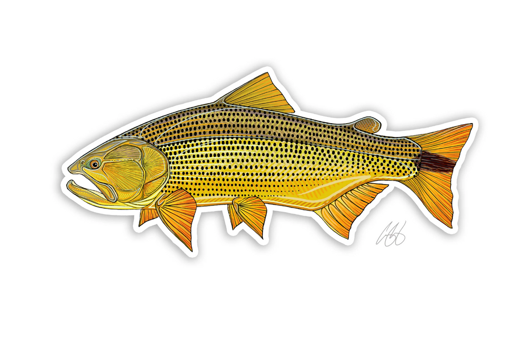 Casey Underwood Golden Dorado Decal Sticker