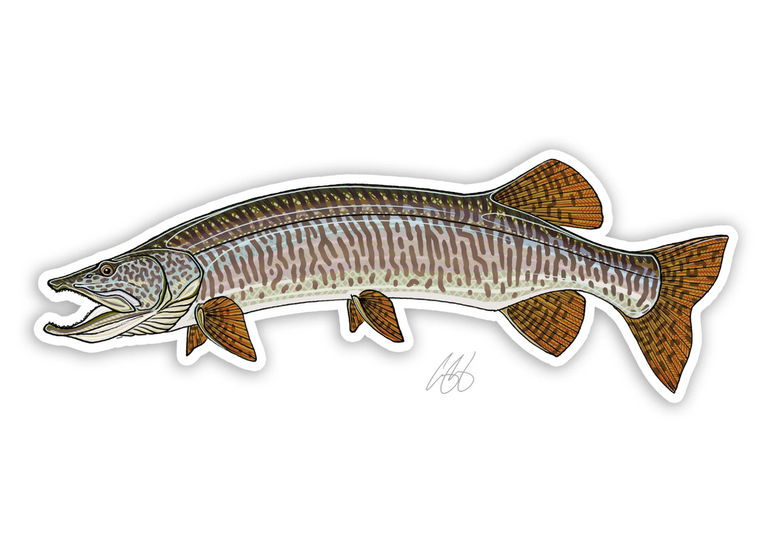 Casey Underwood Muskie Decal Sticker