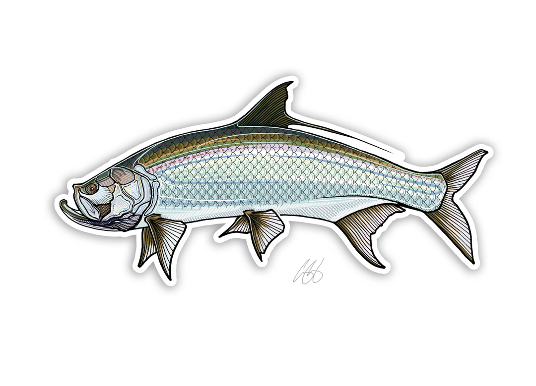 Casey Underwood Tarpon Decal Sticker