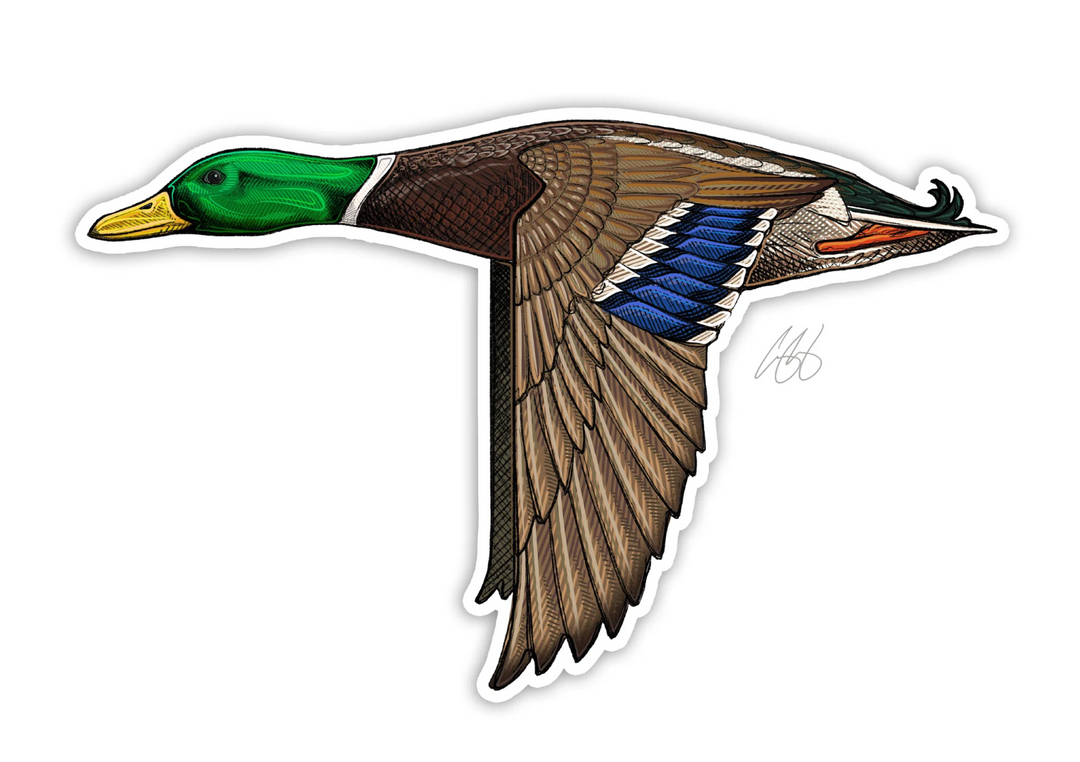 Casey Underwood Mallard Decal Sticker