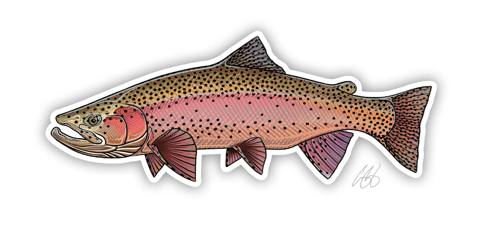 Rainbow Trout Decal