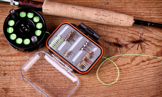 Why You Should Oil Your Fly Reel Regularly