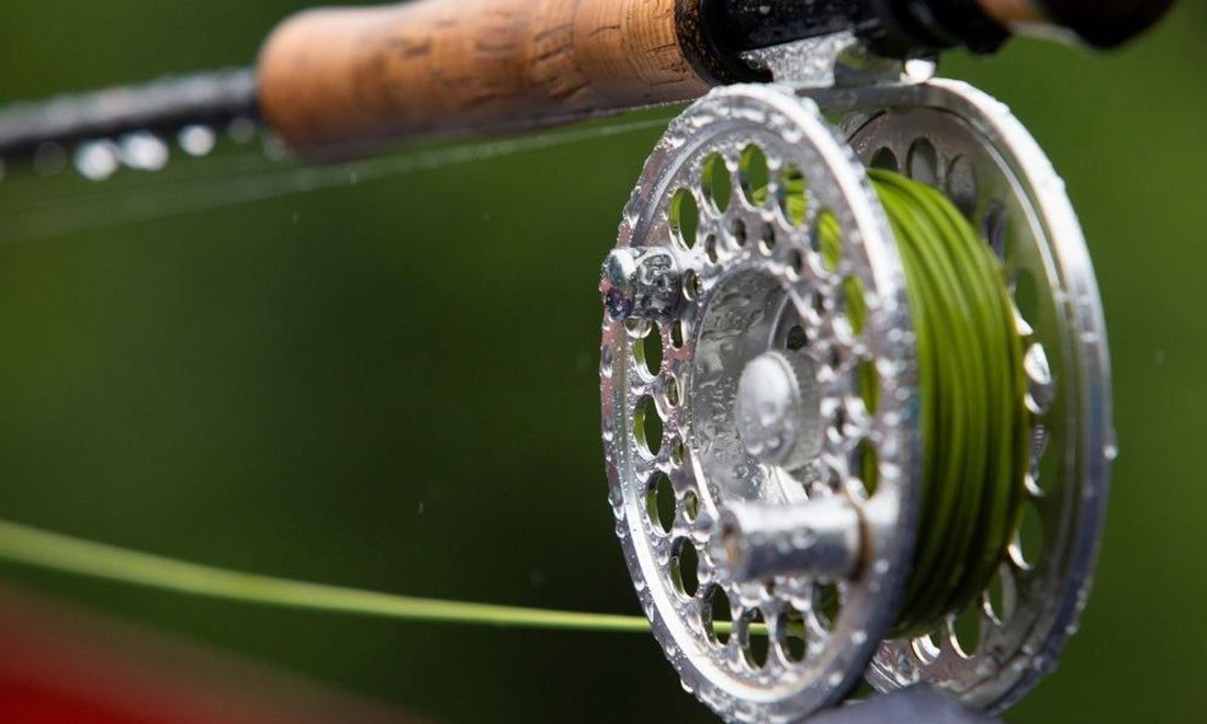 Fly Reel Terminology: What You Need To Know - Ed's Fly Shop