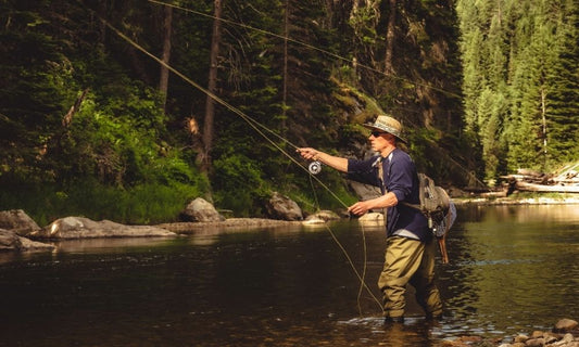 A Comparison Guide: Fly Rods vs. Spinning Rods