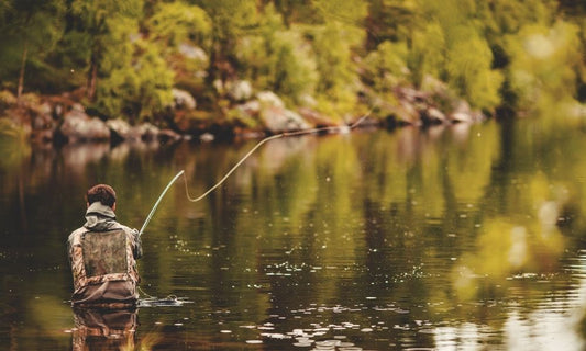 6 Helpful Fly Fishing Tips for Beginners