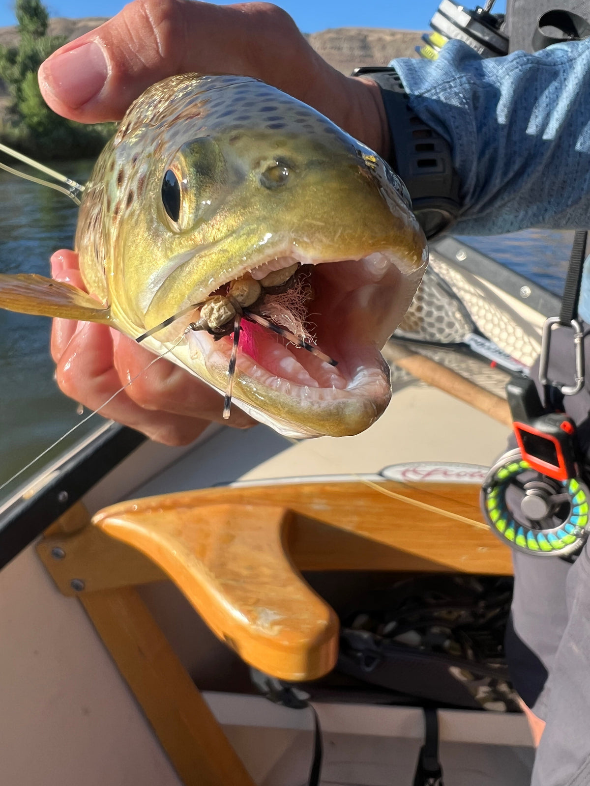 Dry Flies