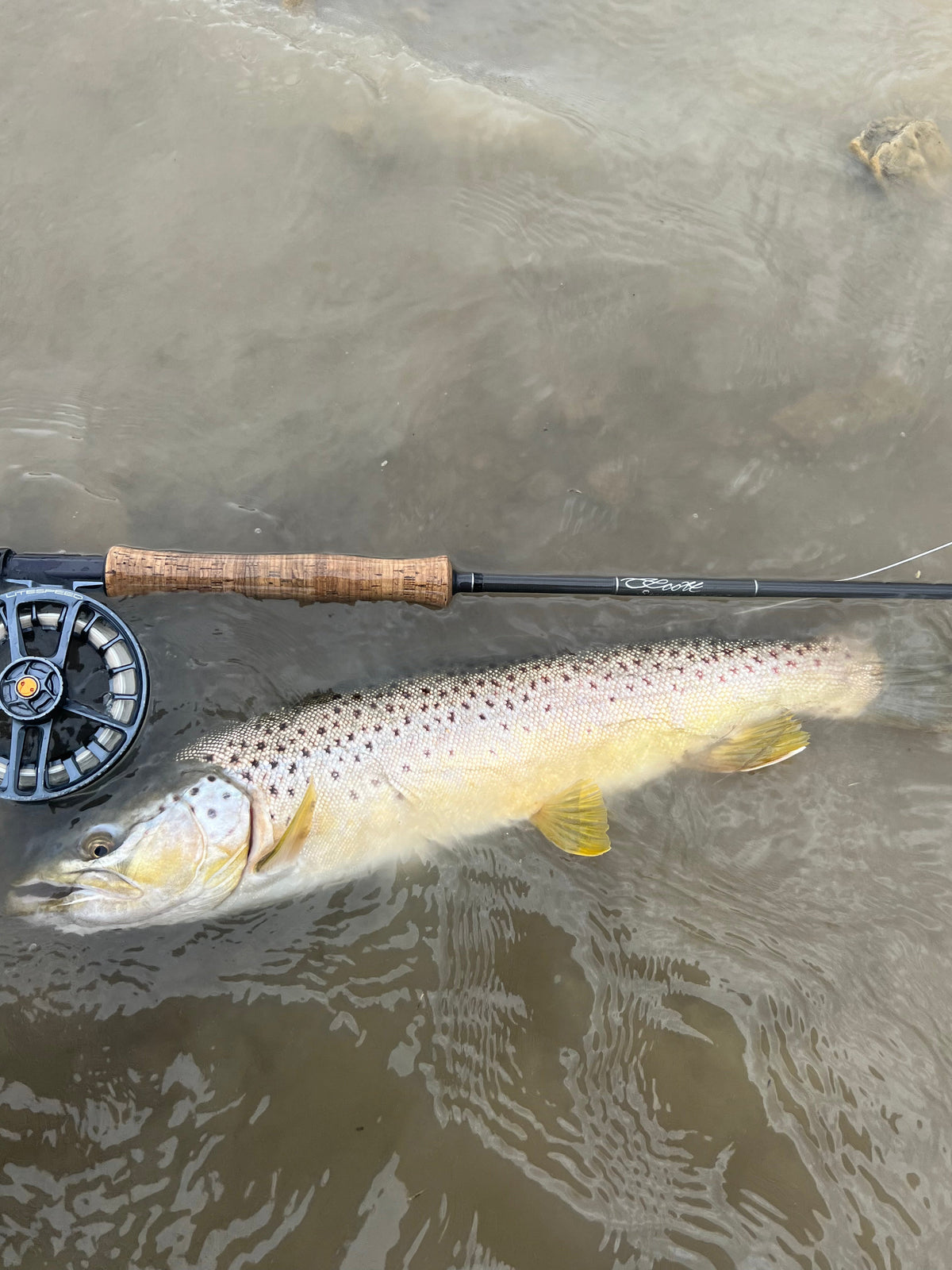 Fly Rods