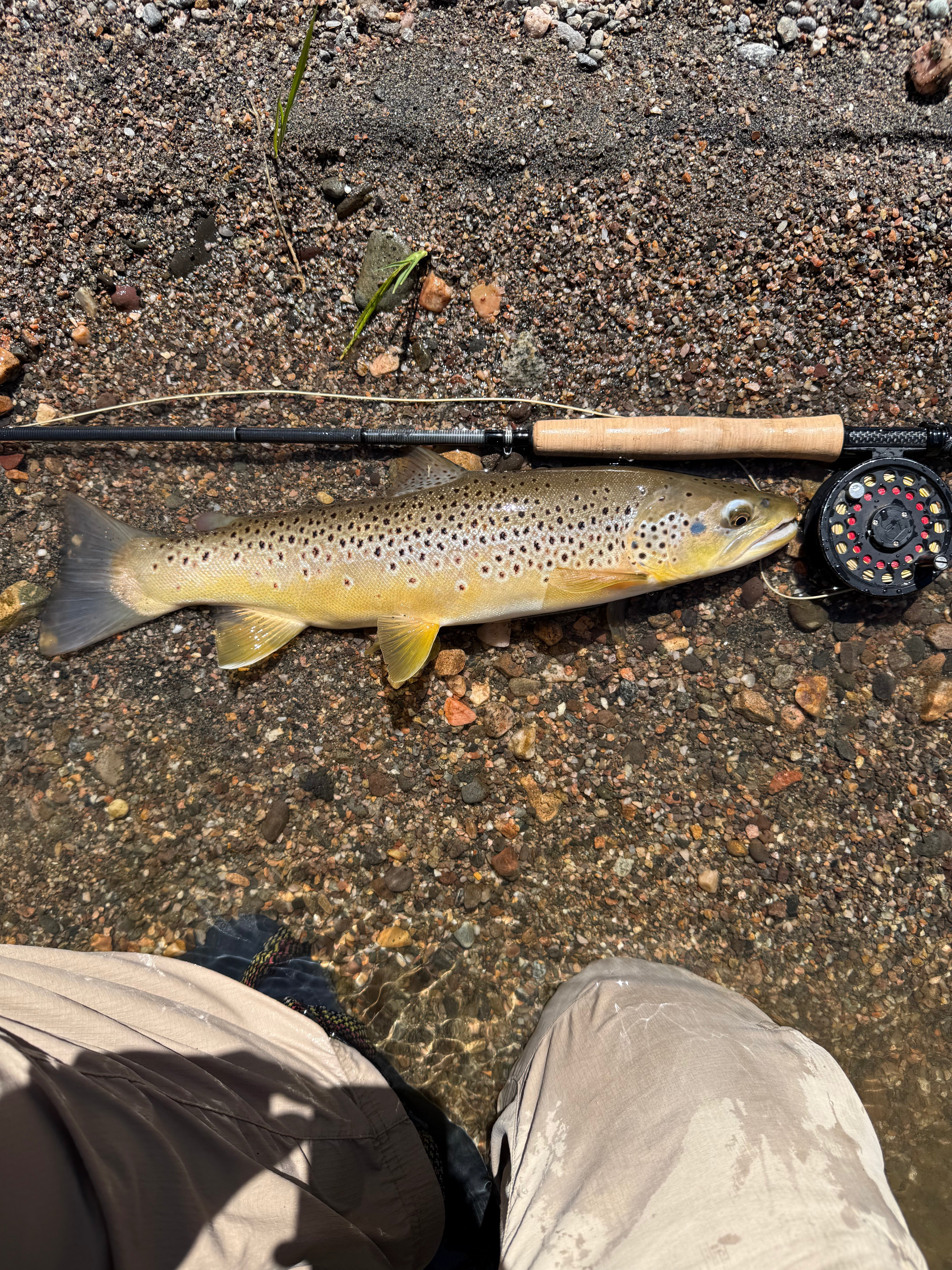 Fly Rod & Reel Outfits – Page 2 – Ed's Fly Shop