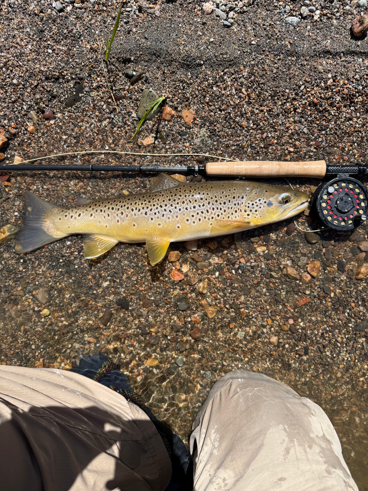 Fly Rod & Reel Outfits
