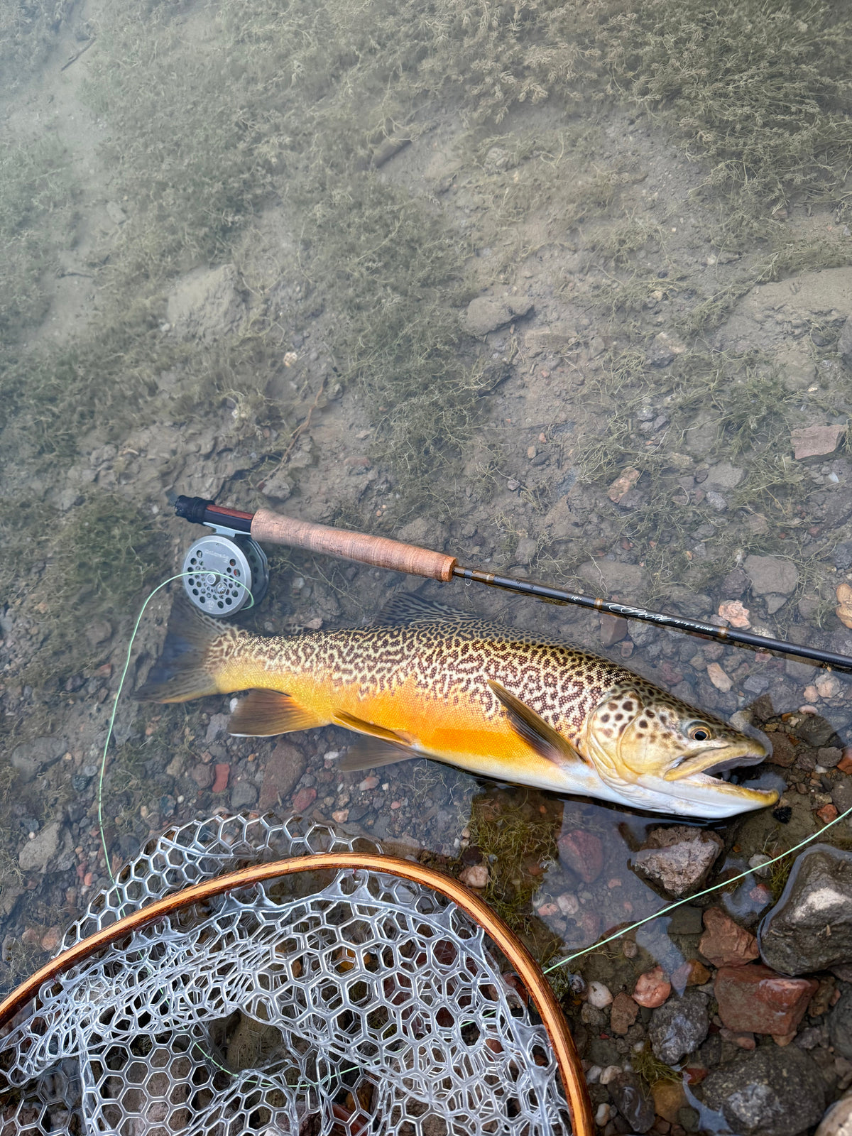 Fly Reel Spools