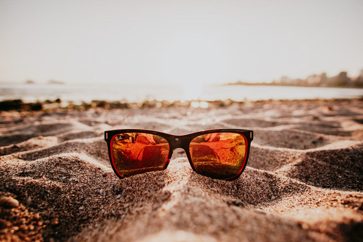 Sunglasses & Optics