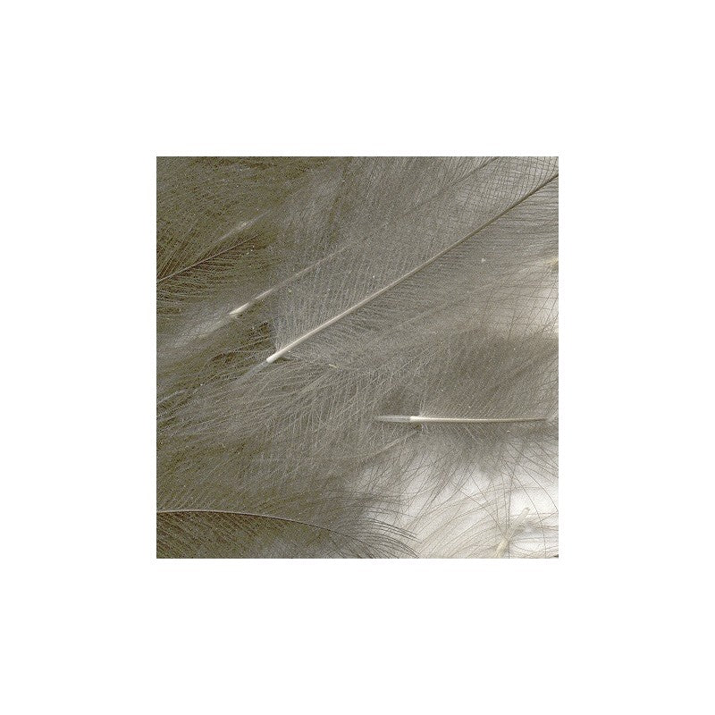 Petitjean CDC Feathers 1 Gram Bags