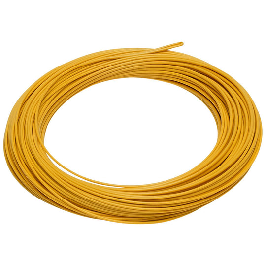 RIO Avid Gold Gold Image 01