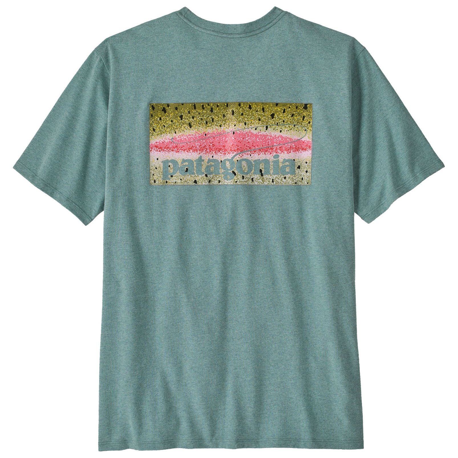 Patagonia Men's Take a Stand Responsibili-Tee Rainbow Run: Blue Sage