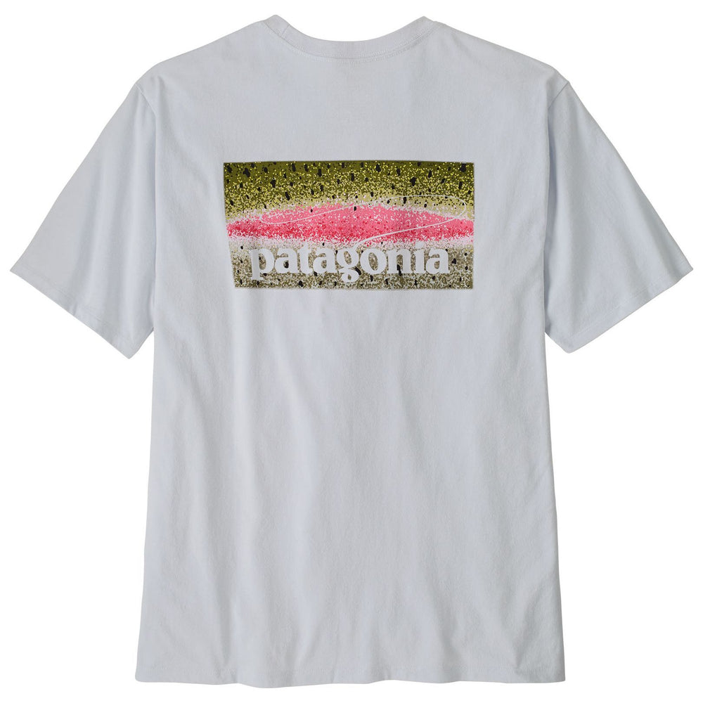 Patagonia Men's Take a Stand Responsibili-Tee Rainbow Run: White