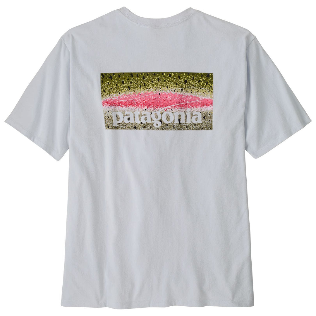 Patagonia Men's Take a Stand Responsibili-Tee Rainbow Run: White