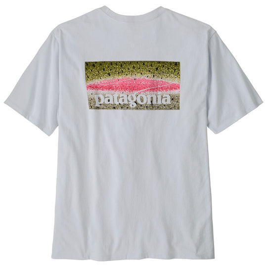 Patagonia Men's Take a Stand Responsibili-Tee Rainbow Run: White