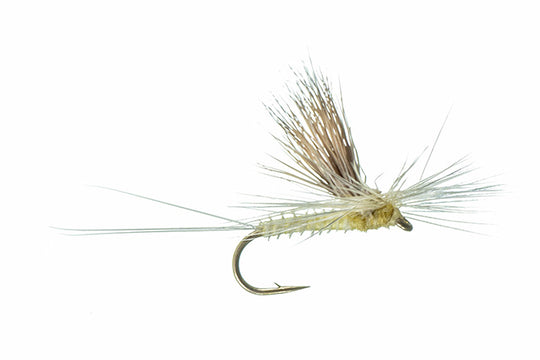 Montana Fly Company Galloup's Tilt Wing