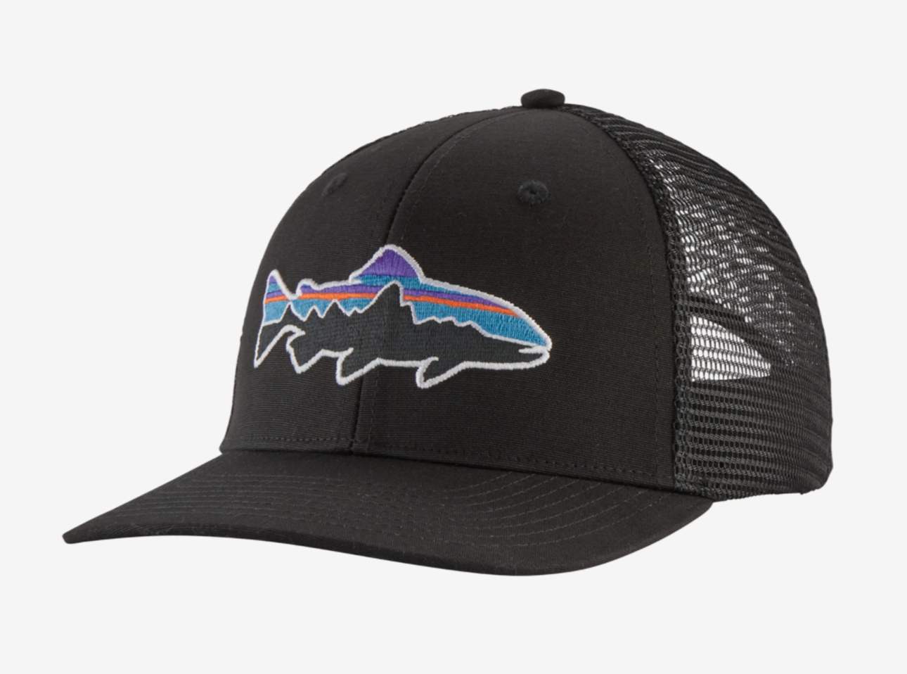 Patagonia Hat