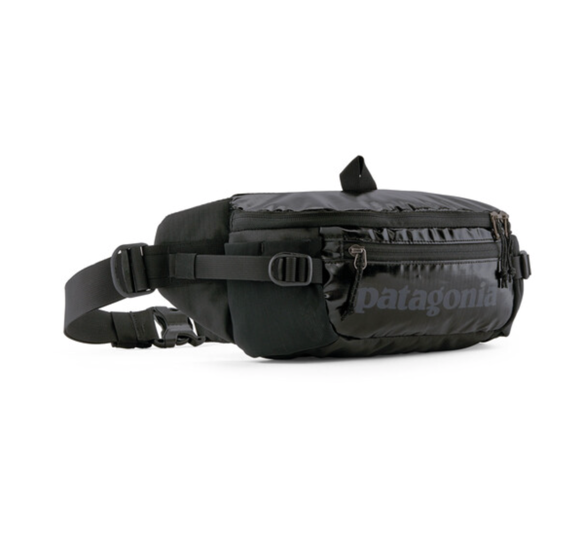 Patagonia Waist Pack