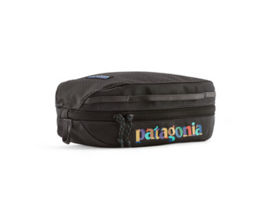 Patagonia Black Hole Cube - Small 3L