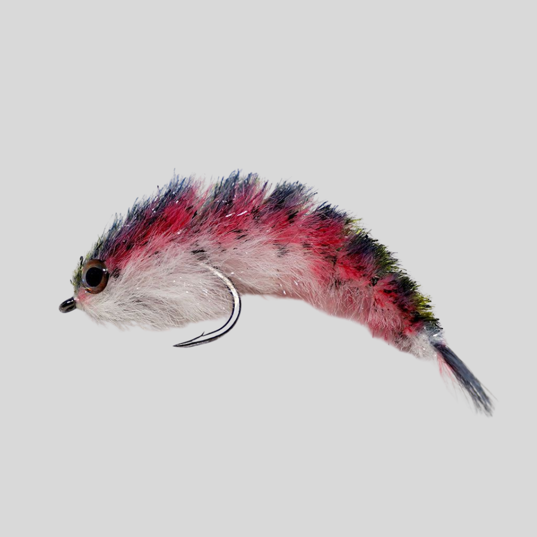 Minnow Changer #2 fly with rainbow trout
