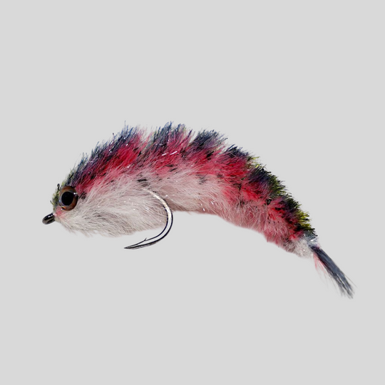 Minnow Changer #2 fly with rainbow trout