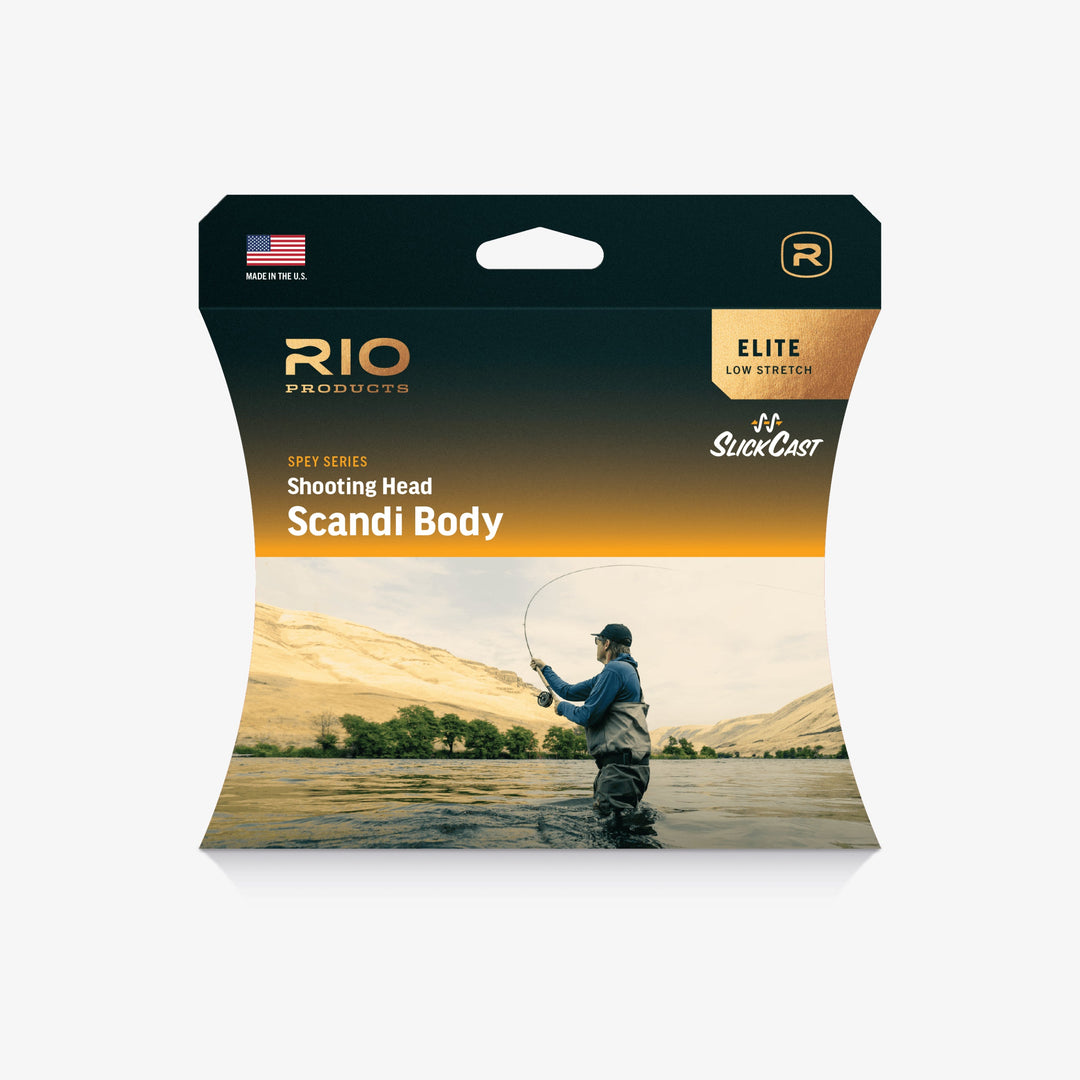 RIO Elite Scandi Body shooting head for spey casting