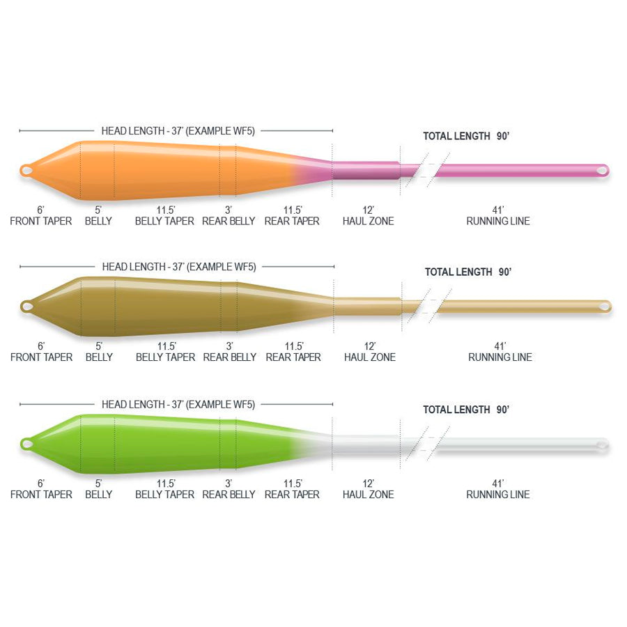 Airflo Sustain - R2.0 Superflo Power Taper