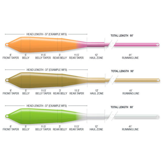 Airflo Sustain - R2.0 Superflo Power Taper