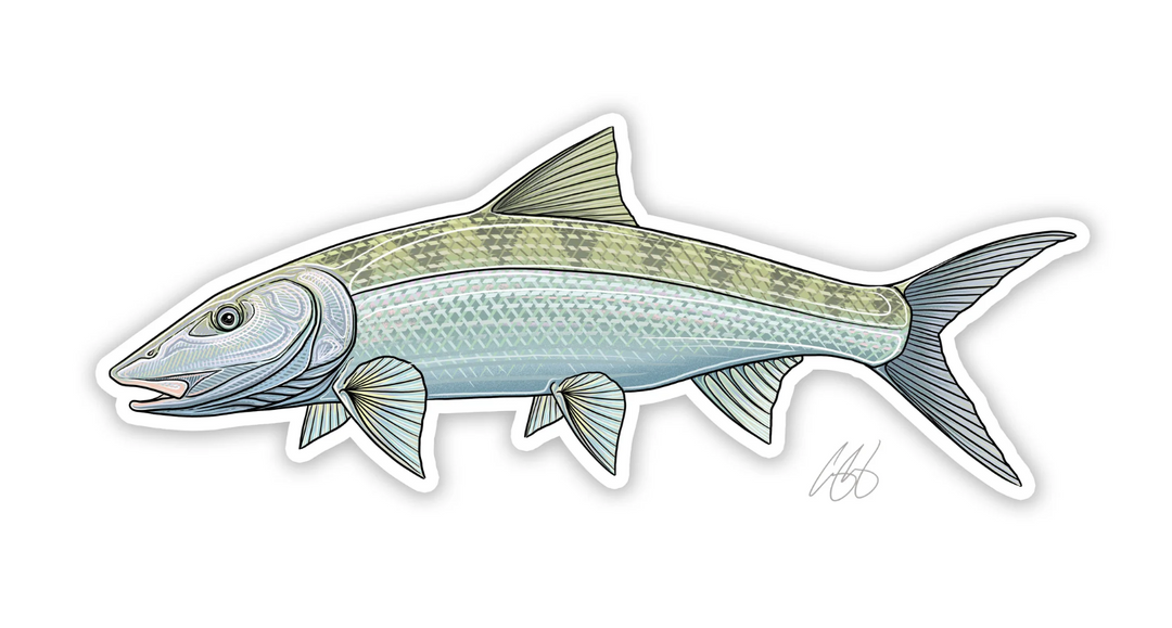 Casey Underwood Bonefish Decal Sticker