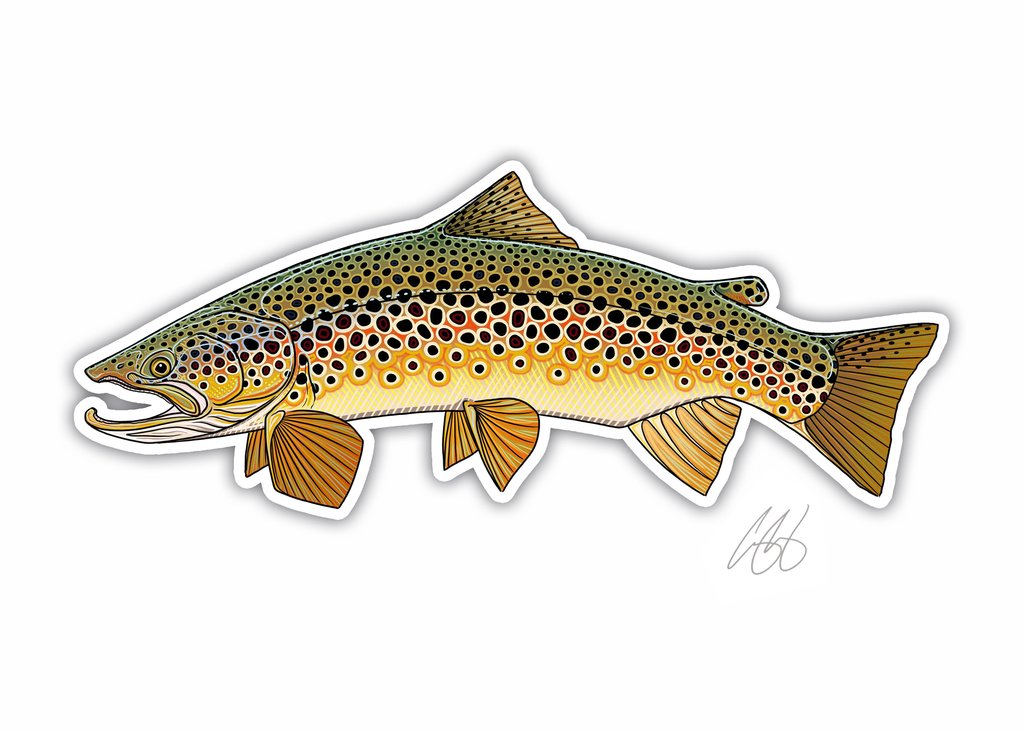 Casey Underwood Fish Decals