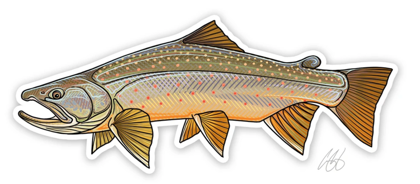 Casey Underwood Bull Trout Decal Sticker