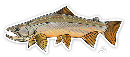 Casey Underwood Bull Trout Decal Sticker