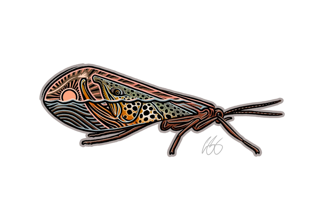 Casey Underwood Caddis-Scape Decal Sticker