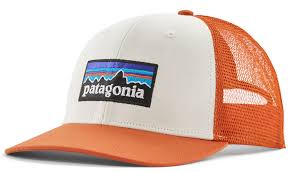 Patagonia P-6 Logo Trucker Hat
