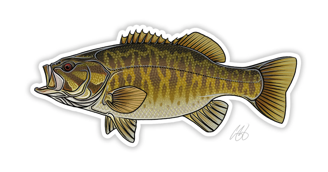 Casey Underwood Smallmouth Bass Decal Sticker