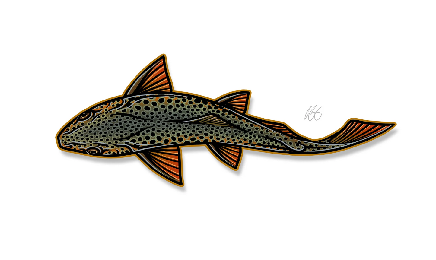 Casey Underwood Swimming Brown Decal Sticker