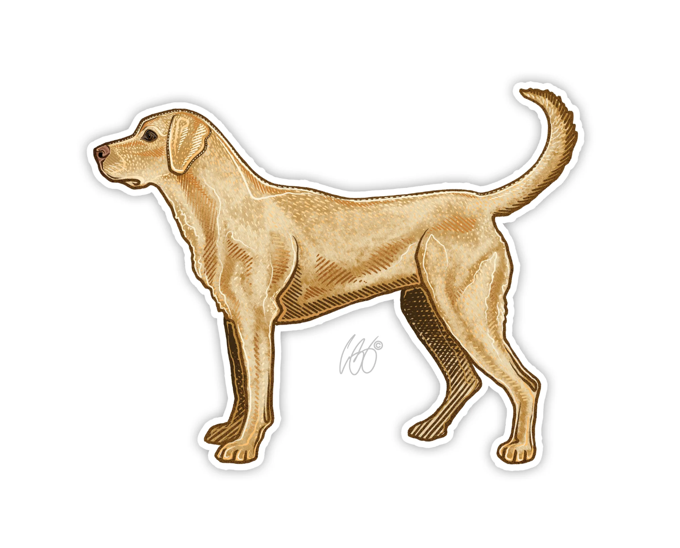 Casey Underwood Yellow Lab Decal Sticker – Ed's Fly Shop