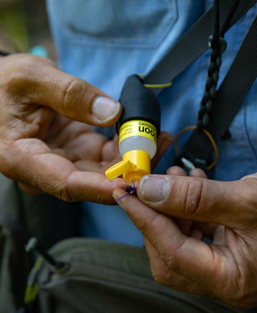 Loon Outdoors - Silicone Small Caddy - Fly Fishing