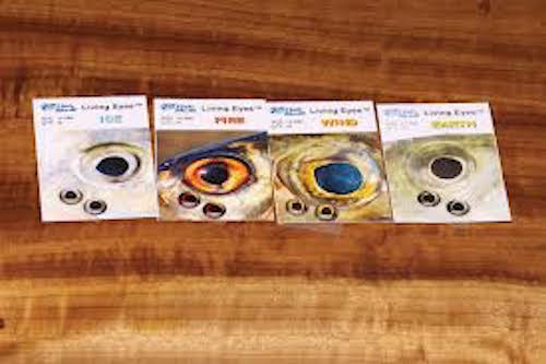 Fish Skull Living Eyes Assorted Sizes And Colors