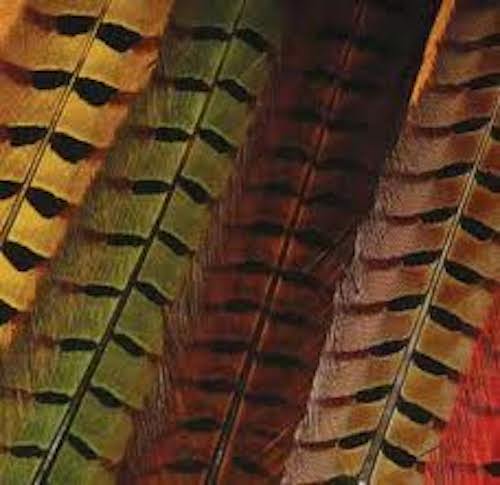 Hareline Ringneck Pheasant Tail Feathers Assorted Colors - Fly Tying