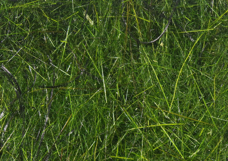 Hareline Hare'E Wiggle Dub Peacock
