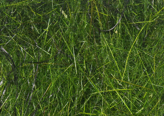Hareline Hare'E Wiggle Dub Peacock